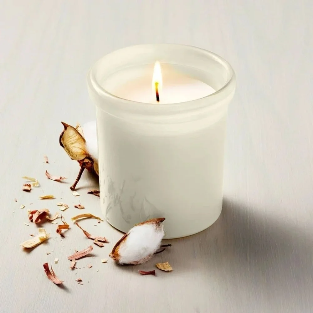 HEARTH & HAND NWT colored glass canvas jar candle -6oz